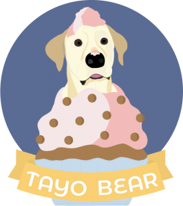 Birthday party – Tayo Bear
